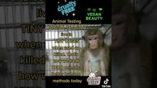 'ANIMAL TESTING = Torture Cage KILL (Cruelty Free Cosmetics Makeup 