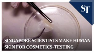 'Singapore scientists make human skin for cosmetics-testing'