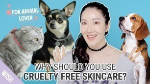 'Wishtrend\'s Biggest Sale of 2018! Best Korean Cruelty-Free Cosmetics & Skincare Brands|Wishtrend TV'