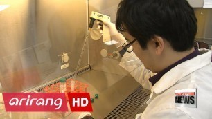 'Korean researchers develop skin model that could replace animal testing'