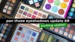 'Pan Those Eyeshadows 2020 Update #8 | morerebe'
