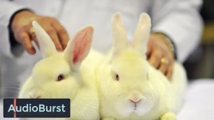 'Here\'s How To Check If Your Cosmetics Are Really Cruelty-Free'