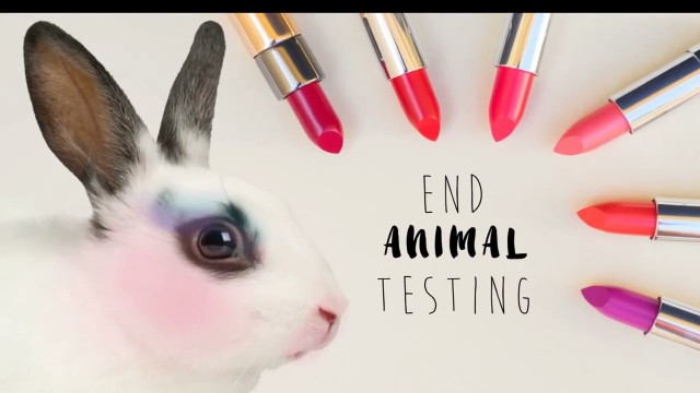 'Are Cruel Animal Tests for Cosmetics Back in the EU?'