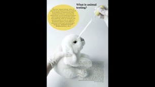 'Animal Abuse. The Cosmetics and Personal Care Industry'