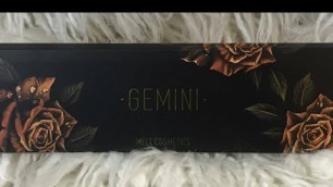 'Melt Cosmetics Gemini Palette live'