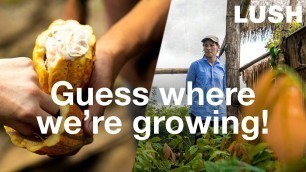 'Lush Cosmetics: Regenerative Farming in Guatemala'