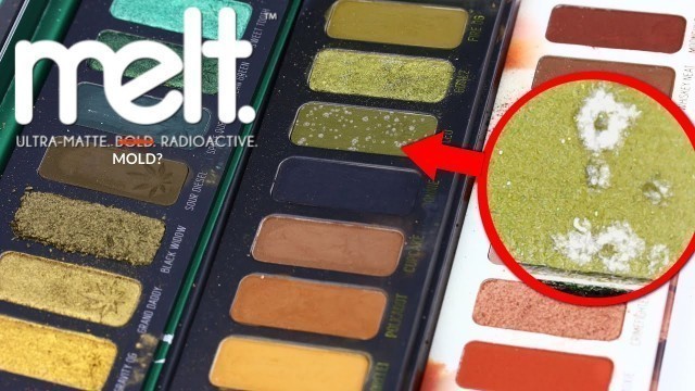 CAUTION: Melt Cosmetics Palettes | THE MAKEUP BREAKUP