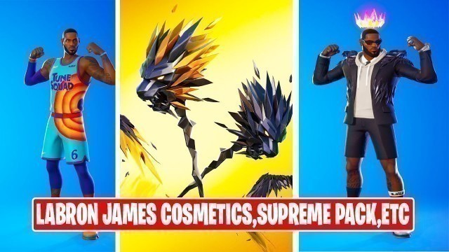 'LeBron James Cosmetics Showcase - 2 LeBron James Skins, 2 Back Blings, Pickaxe, Glider Fortnite'